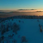 Pachnaca Lasem Orman Evi *