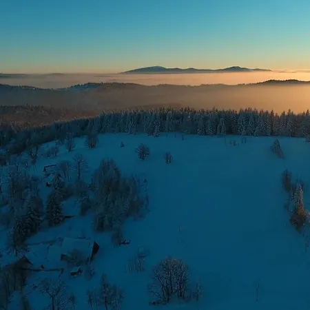 Pachnaca Lasem Orman Evi *