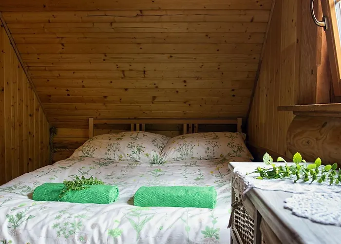 Lodge Pachnaca Lasem *