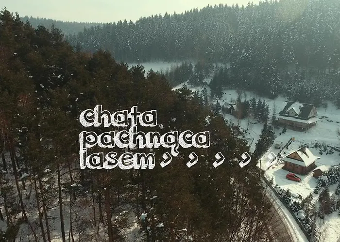 Lodge Pachnaca Lasem Andrychów